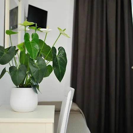 Girasole 3* 라찌제